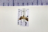  ( - HNU 898)  @11 [ ] CreativeCommons - Attribution Share-Alike (2015) Unspecified Seoul National Uiversity