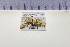  ( - HNU 900)  @12 [ ] CreativeCommons - Attribution Share-Alike (2015) Unspecified Seoul National Uiversity