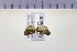  ( - HNU 910)  @13 [ ] CreativeCommons - Attribution Share-Alike (2015) Unspecified Seoul National Uiversity