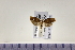  ( - HNU945)  @13 [ ] CreativeCommons - Attribution Share-Alike (2015) Unspecified Seoul National Uiversity