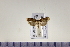  ( - HNU947)  @13 [ ] CreativeCommons - Attribution Share-Alike (2015) Unspecified Seoul National Uiversity