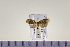  ( - HNU968)  @13 [ ] CreativeCommons - Attribution Share-Alike (2015) Unspecified Seoul National Uiversity