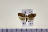  ( - HNU969)  @13 [ ] CreativeCommons - Attribution Share-Alike (2015) Unspecified Seoul National Uiversity
