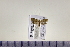  ( - HNU986)  @11 [ ] CreativeCommons - Attribution Share-Alike (2015) Unspecified Seoul National Uiversity