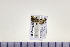  ( - HNU989)  @12 [ ] CreativeCommons - Attribution Share-Alike (2015) Unspecified Seoul National Uiversity