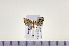  ( - HNU990)  @12 [ ] CreativeCommons - Attribution Share-Alike (2015) Unspecified Seoul National Uiversity