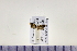 ( - HNU993)  @12 [ ] CreativeCommons - Attribution Share-Alike (2015) Unspecified Seoul National Uiversity