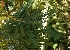  ( - C-L_R-0119)  @11 [ ] CreativeCommons - Attribution Non-Commercial Share-Alike (2012) Mamadi Theresa Sethusa University of Johannesburg