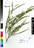  ( - DMP004)  @11 [ ] CreativeCommons - Attribution Non-Commercial Share-Alike (2012) Mamadi Theresa Sethusa University of Johannesburg