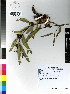  ( - DMP007)  @11 [ ] CreativeCommons - Attribution Non-Commercial Share-Alike (2012) Mamadi Theresa Sethusa University of Johannesburg