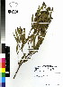  ( - DMP040)  @11 [ ] CreativeCommons - Attribution Non-Commercial Share-Alike (2012) Mamadi Theresa Sethusa University of Johannesburg