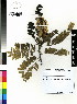  ( - DMP052)  @11 [ ] CreativeCommons - Attribution Non-Commercial Share-Alike (2012) Mamadi Theresa Sethusa University of Johannesburg