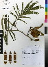  ( - DMP054)  @11 [ ] CreativeCommons - Attribution Non-Commercial Share-Alike (2012) Mamadi Theresa Sethusa University of Johannesburg