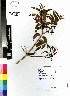  ( - DMP078)  @11 [ ] CreativeCommons - Attribution Non-Commercial Share-Alike (2012) Mamadi Theresa Sethusa University of Johannesburg