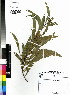  ( - DMP082)  @11 [ ] CreativeCommons - Attribution Non-Commercial Share-Alike (2012) Mamadi Theresa Sethusa University of Johannesburg