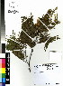  ( - DMP083)  @11 [ ] CreativeCommons - Attribution Non-Commercial Share-Alike (2012) Mamadi Theresa Sethusa University of Johannesburg