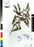 ( - DMP109)  @11 [ ] CreativeCommons - Attribution Non-Commercial Share-Alike (2012) Mamadi Theresa Sethusa University of Johannesburg