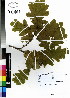  ( - DMP115)  @11 [ ] CreativeCommons - Attribution Non-Commercial Share-Alike (2012) Mamadi Theresa Sethusa University of Johannesburg