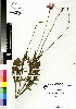  ( - DMP203)  @11 [ ] CreativeCommons - Attribution Non-Commercial Share-Alike (2012) Mamadi Theresa Sethusa University of Johannesburg