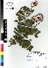  ( - DMP205)  @11 [ ] CreativeCommons - Attribution Non-Commercial Share-Alike (2012) Mamadi Theresa Sethusa University of Johannesburg