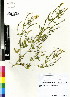  ( - DMP329)  @11 [ ] CreativeCommons - Attribution Non-Commercial Share-Alike (2012) Mamadi Theresa Sethusa University of Johannesburg