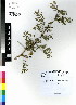  ( - DMP396)  @15 [ ] CreativeCommons - Attribution Non-Commercial Share-Alike (2012) Mamadi Theresa Sethusa University of Johannesburg