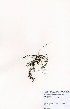  ( - JG003)  @11 [ ] No Rights Reserved  Unspecified Unspecified