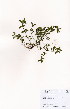  ( - JG005)  @11 [ ] No Rights Reserved  Unspecified Unspecified