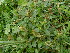  ( - JG005)  @11 [ ] No Rights Reserved  Unspecified Unspecified