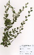  ( - JG027)  @11 [ ] No Rights Reserved  Unspecified Unspecified