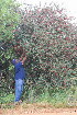  ( - JG027)  @11 [ ] CreativeCommons - Attribution Non-Commercial Share-Alike (2011) Olivier Maurin University of Johannesburg