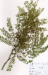 ( - JG033)  @11 [ ] No Rights Reserved  Unspecified Unspecified
