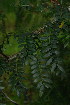  ( - JG033)  @11 [ ] CreativeCommons - Attribution Non-Commercial Share-Alike (2011) Olivier Maurin University of Johannesburg