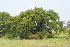  ( - JG042)  @11 [ ] CreativeCommons - Attribution Non-Commercial Share-Alike (2011) Olivier Maurin University of Johannesburg