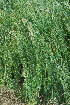  ( - JG042)  @11 [ ] CreativeCommons - Attribution Non-Commercial Share-Alike (2011) Olivier Maurin University of Johannesburg