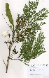  ( - JG056)  @11 [ ] No Rights Reserved  Unspecified Unspecified