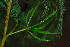  ( - JG056)  @11 [ ] CreativeCommons - Attribution Non-Commercial Share-Alike (2011) Olivier Maurin University of Johannesburg