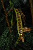  ( - JG056)  @11 [ ] CreativeCommons - Attribution Non-Commercial Share-Alike (2011) Olivier Maurin University of Johannesburg