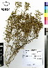 ( - JSB-0536)  @11 [ ] CreativeCommons - Attribution Non-Commercial Share-Alike (2012) Mamadi Theresa Sethusa University of Johannesburg