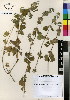  ( - JSB-0548)  @11 [ ] CreativeCommons - Attribution Non-Commercial Share-Alike (2012) Mamadi Theresa Sethusa University of Johannesburg