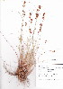  ( - KK-0087)  @11 [ ] CreativeCommons - Attribution Non-Commercial Share-Alike (2012) Mamadi Theresa Sethusa University of Johannesburg