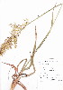  ( - KK-0122)  @11 [ ] CreativeCommons - Attribution Non-Commercial Share-Alike (2012) Mamadi Theresa Sethusa University of Johannesburg