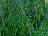  ( - KMS-0287)  @11 [ ] CreativeCommons - Attribution Non-Commercial Share-Alike (2012) Mamadi Theresa Sethusa University of Johannesburg