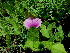  ( - KMS-0294)  @11 [ ] CreativeCommons - Attribution Non-Commercial Share-Alike (2012) Mamadi Theresa Sethusa University of Johannesburg