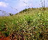  ( - KMS-0375)  @11 [ ] CreativeCommons - Attribution Non-Commercial Share-Alike (2012) Mamadi Theresa Sethusa University of Johannesburg