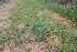  ( - NMMU_0062)  @11 [ ] CreativeCommons - Attribution Non-Commercial Share-Alike (2013) Mamadi Theresa Sethusa University of Johannesburg