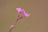  ( - MS040)  @11 [ ] No Rights Reserved  Unspecified Unspecified