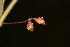  ( - MS040)  @11 [ ] No Rights Reserved  Unspecified Unspecified