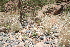  ( - MS043)  @11 [ ] No Rights Reserved  Unspecified Unspecified