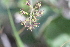  ( - MS044)  @11 [ ] No Rights Reserved  Unspecified Unspecified